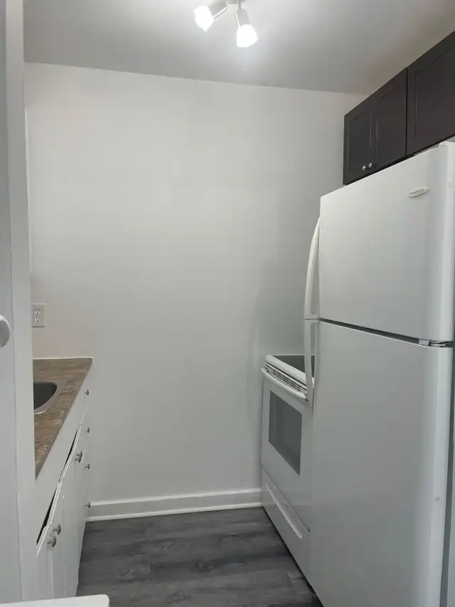 Superbe 2 1/2 style loft,  Marie Incarnation Juillet rénové ! - Photo 5