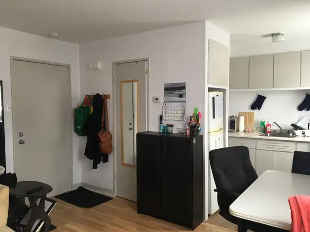 Beau logement 1 1/2 prés Université sur Hochelaga libre - Photo 7