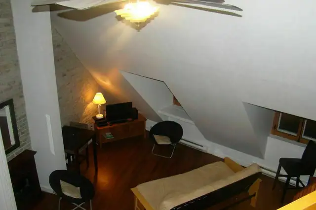 Magnifique grand loft 3½ Vieux-Port meublé Juillet - Photo 3