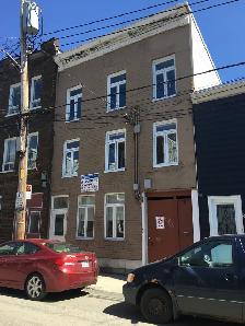 Beau 3 1/2 rue Kirouac St-Sauveur Juillet