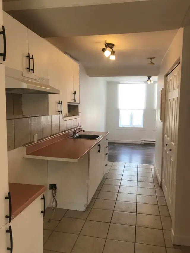 Beau 3 1/2 rue Kirouac St-Sauveur Juillet - Photo 2