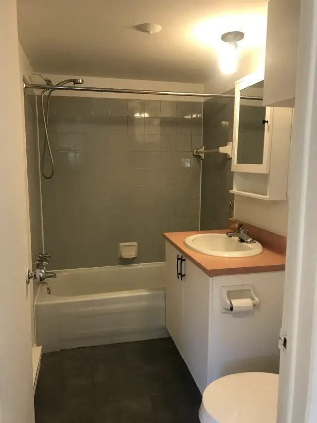 Beau 3 1/2 rue Kirouac St-Sauveur Juillet - Photo 9