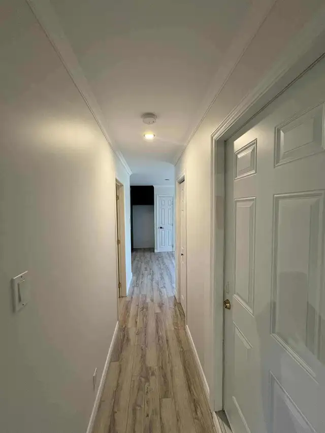 Très grand et beau 3 1/2, St-Émile demi sous-sol LIBRE - Photo 3