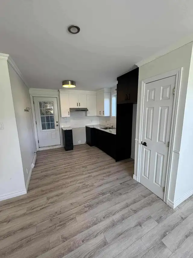 Très grand et beau 3 1/2, St-Émile demi sous-sol LIBRE - Photo 4