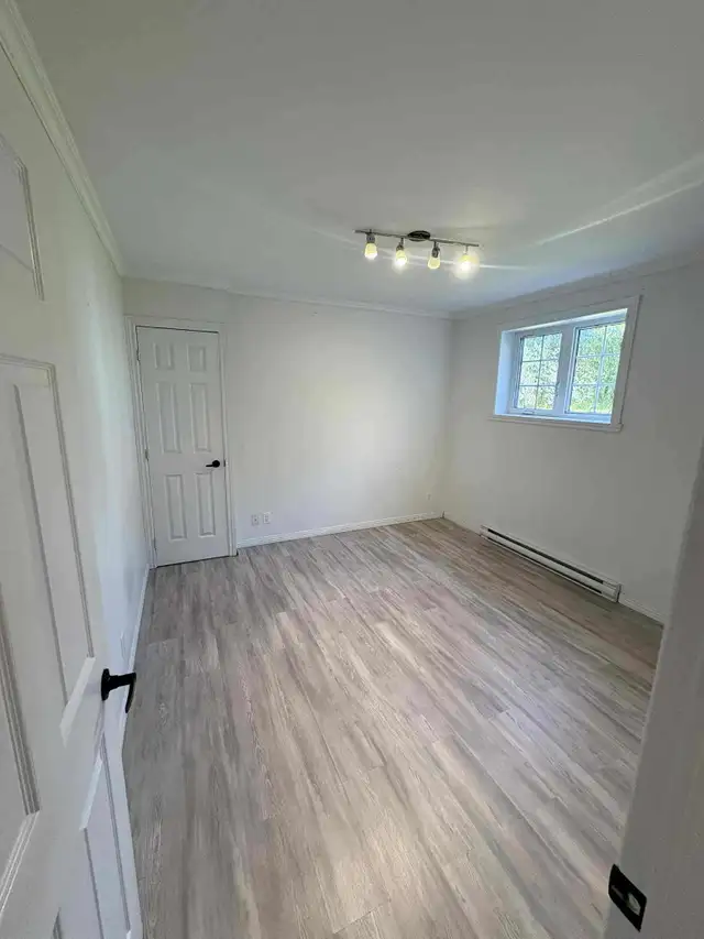 Très grand et beau 3 1/2, St-Émile demi sous-sol LIBRE - Photo 5