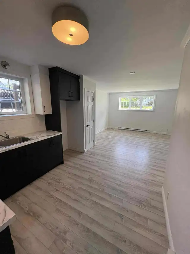 Très grand et beau 3 1/2, St-Émile demi sous-sol LIBRE - Photo 7