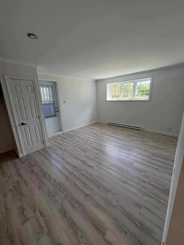 Très grand et beau 3 1/2, St-Émile demi sous-sol LIBRE - Photo 11