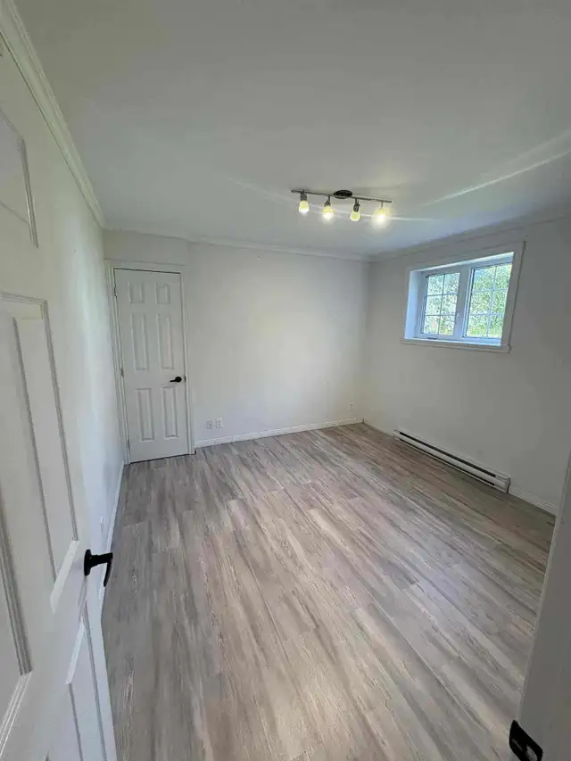 Très grand et beau 3 1/2, St-Émile demi sous-sol LIBRE - Photo 12