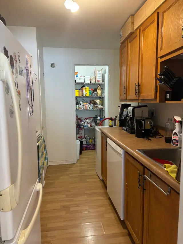 Très beau grand 4 1/2 Beauport, Juillet demi sous-sol - Photo 4