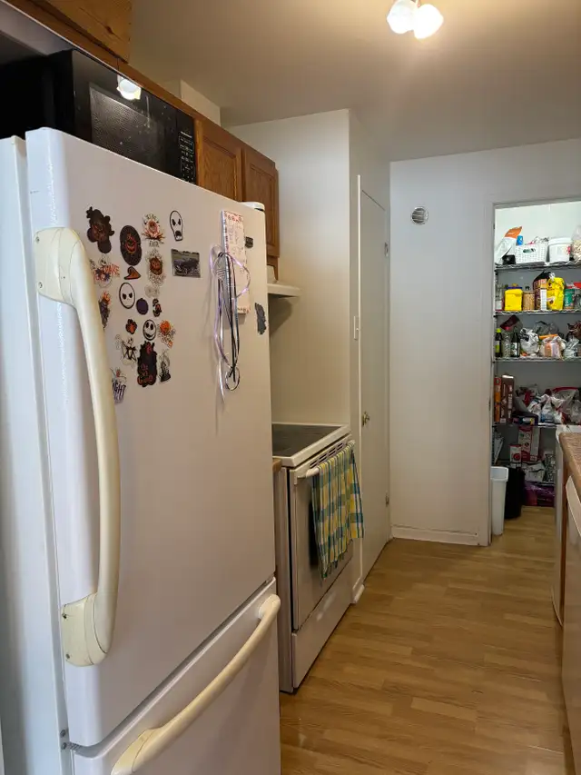 Très beau grand 4 1/2 Beauport, Juillet demi sous-sol - Photo 5