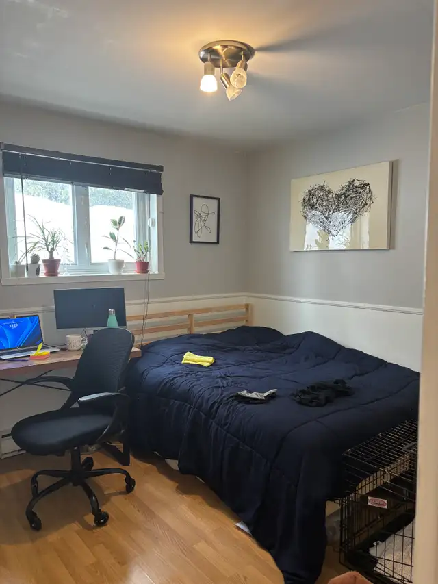 Très beau grand 4 1/2 Beauport, Juillet demi sous-sol - Photo 6