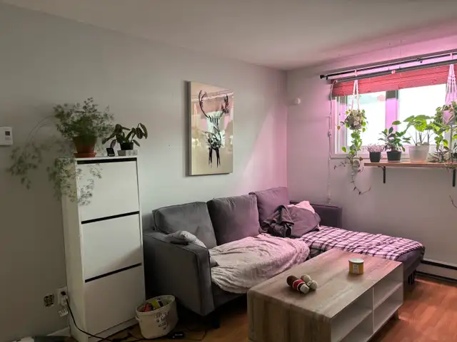 Très beau grand 4 1/2 Beauport, Juillet demi sous-sol - Photo 7