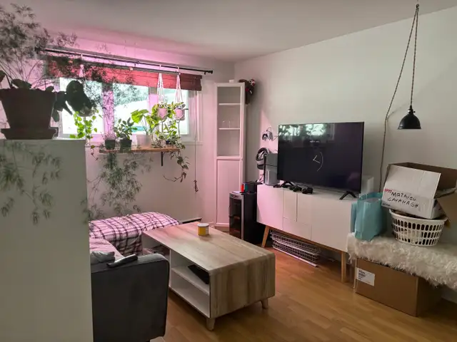 Très beau grand 4 1/2 Beauport, Juillet demi sous-sol - Photo 8