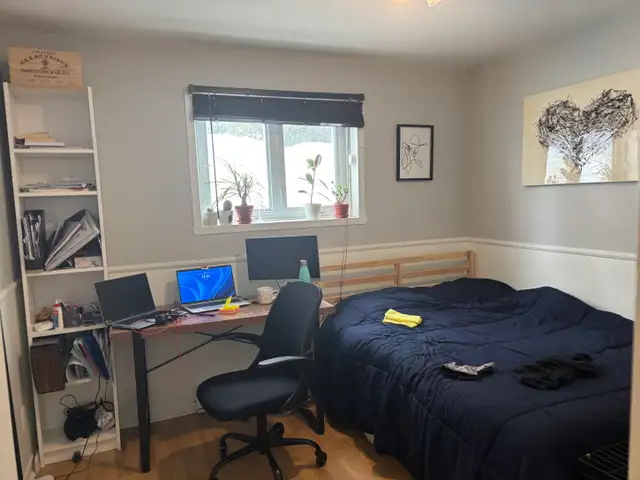 Très beau grand 4 1/2 Beauport, Juillet demi sous-sol - Photo 12