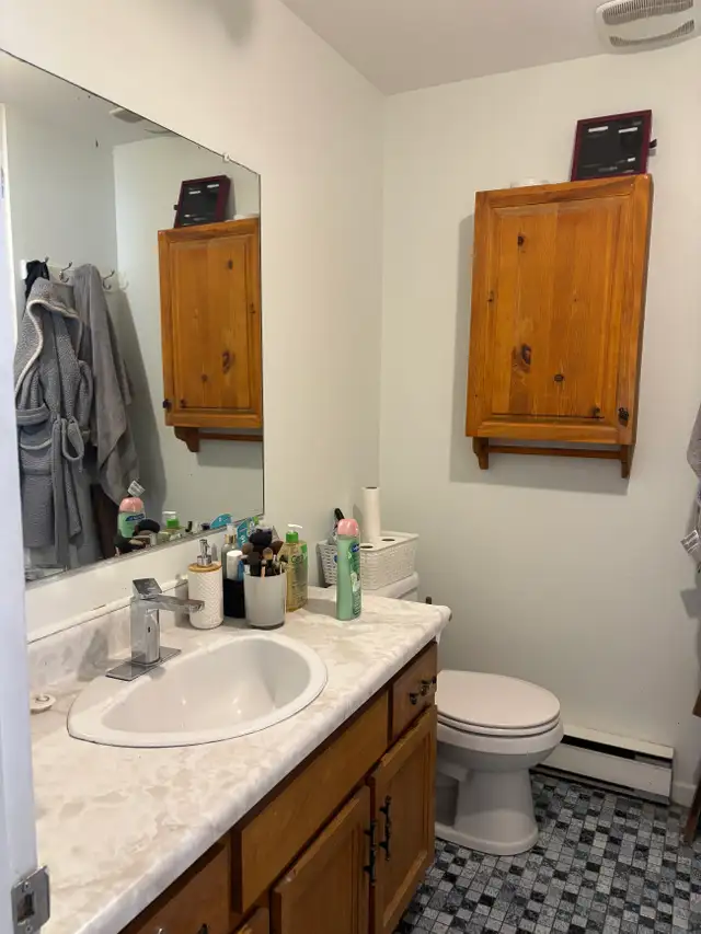 Très beau grand 4 1/2 Beauport, Juillet demi sous-sol - Photo 13