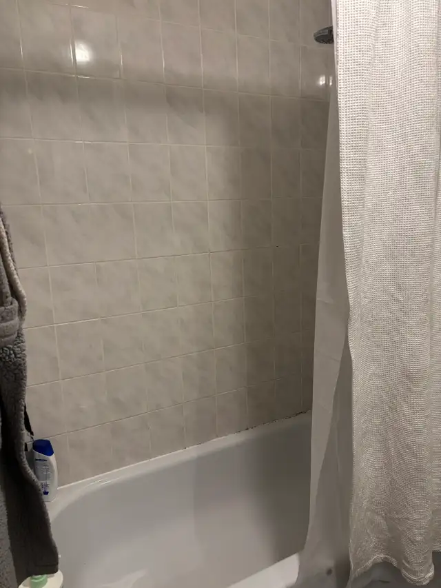 Très beau grand 4 1/2 Beauport, Juillet demi sous-sol - Photo 14