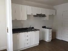 Très beau 3 1/2 Rez de Chaussé, rue Boisseau Juillet