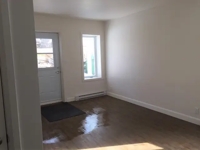 Très beau 3 1/2 Rez de Chaussé, rue Boisseau Juillet - Photo 2