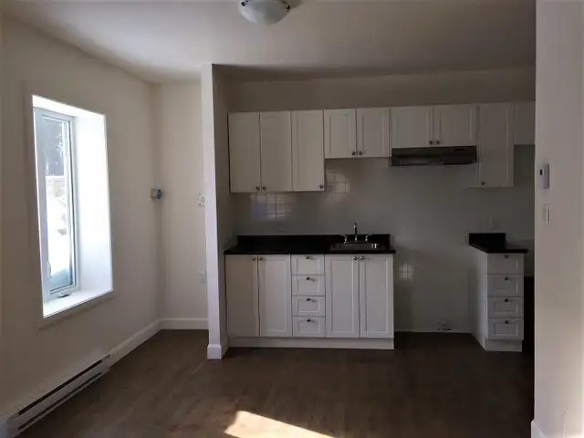 Très beau 3 1/2 Rez de Chaussé, rue Boisseau Juillet - Photo 3