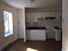 Très beau 3 1/2 Rez de Chaussé, rue Boisseau Juillet - Photo 3