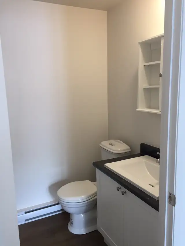 Très beau 3 1/2 Rez de Chaussé, rue Boisseau Juillet - Photo 10