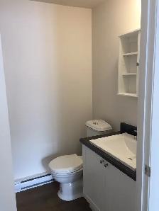 Très beau 3 1/2 Rez de Chaussé, rue Boisseau Juillet - Photo 10