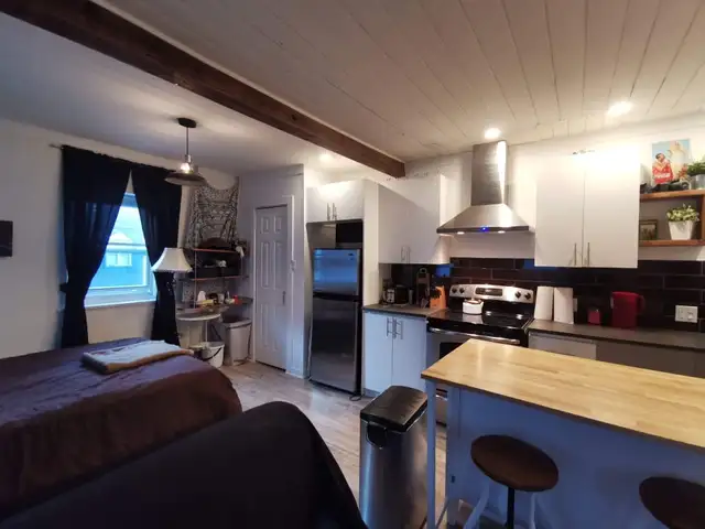 Très Beau Grand 1 1/2, Rue Bagot St-Sauveur Juillet - Photo 2