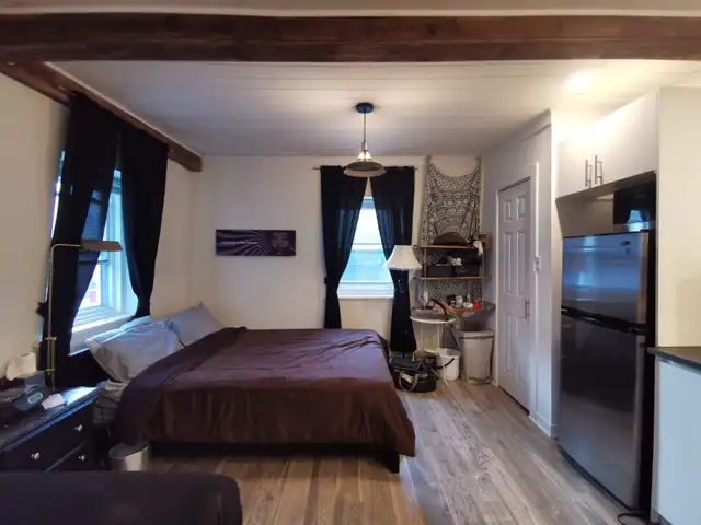 Très Beau Grand 1 1/2, Rue Bagot St-Sauveur Juillet - Photo 5