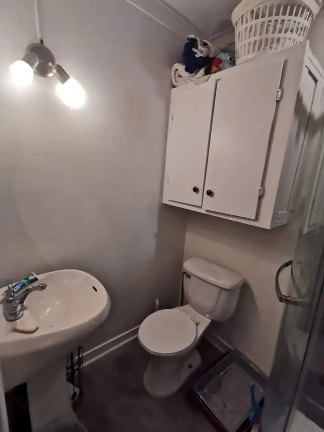 Très Beau Grand 1 1/2, Rue Bagot St-Sauveur Juillet - Photo 7