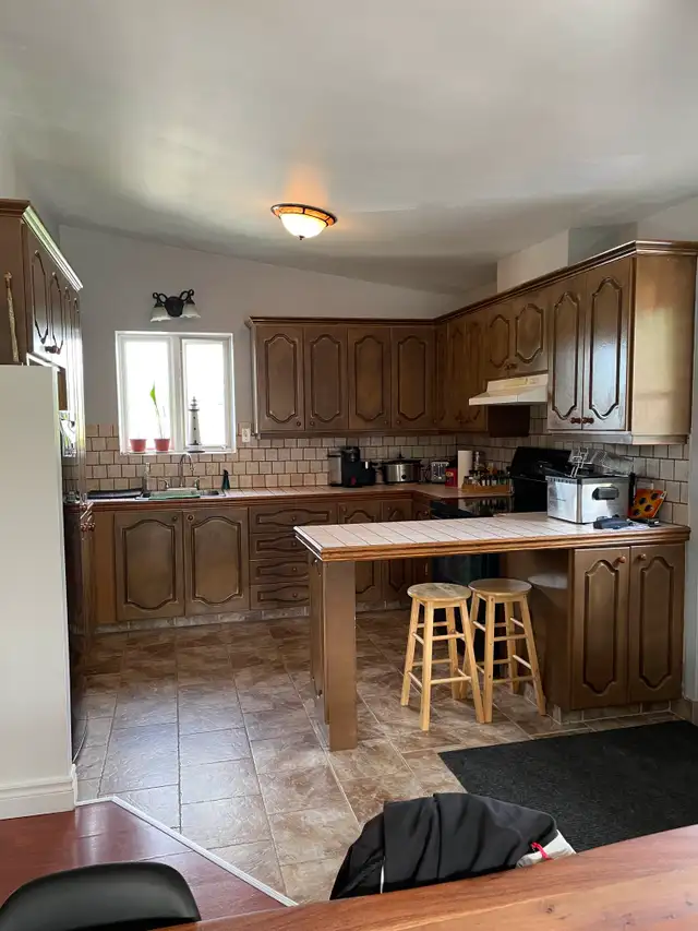 Superbe grand 5 1/2, 2e étage, Lévis Juillet - Photo 3