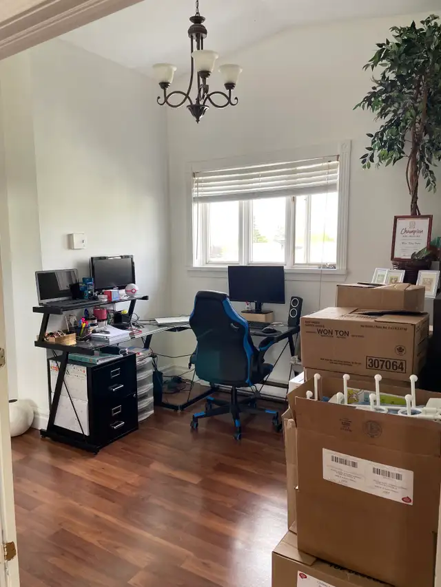 Superbe grand 5 1/2, 2e étage, Lévis Juillet - Photo 8