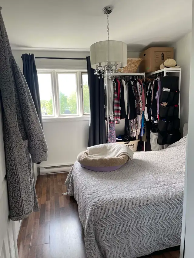 Superbe grand 5 1/2, 2e étage, Lévis Juillet - Photo 10