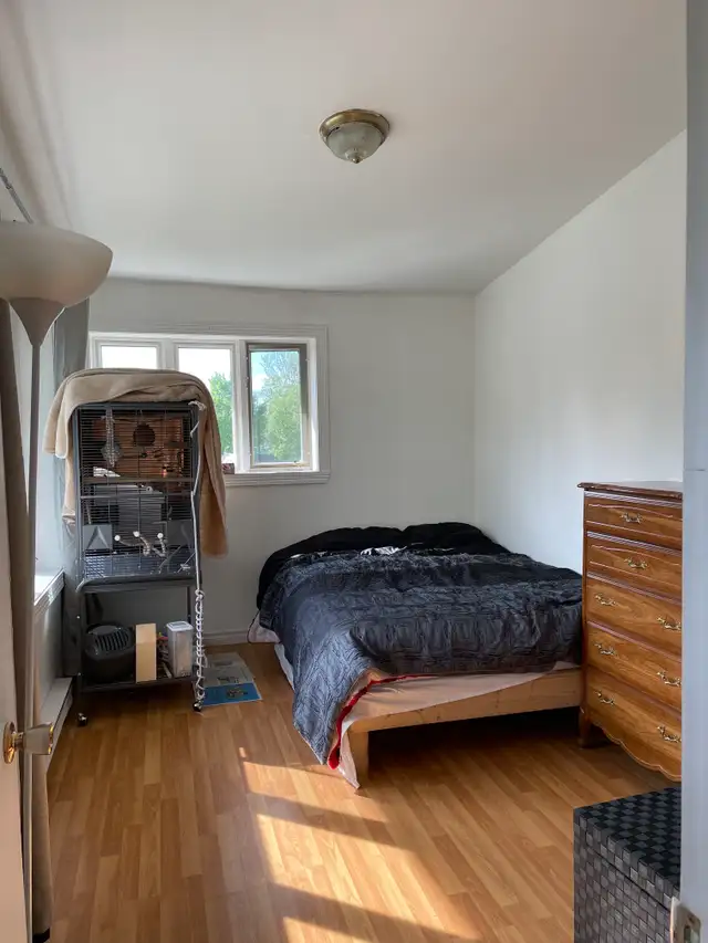 Superbe grand 5 1/2, 2e étage, Lévis Juillet - Photo 12