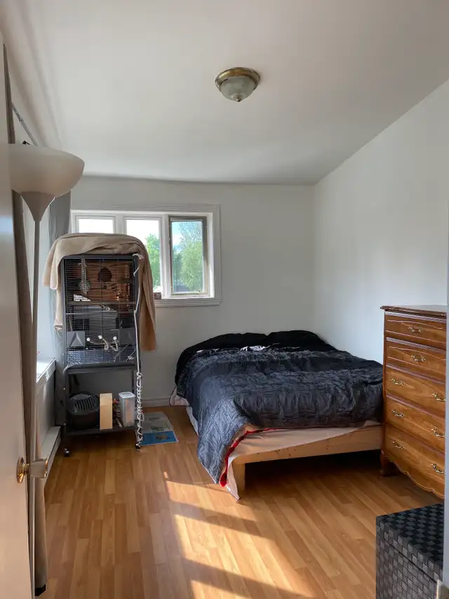 Superbe grand 5 1/2, 2e étage, Lévis Juillet - Photo 13