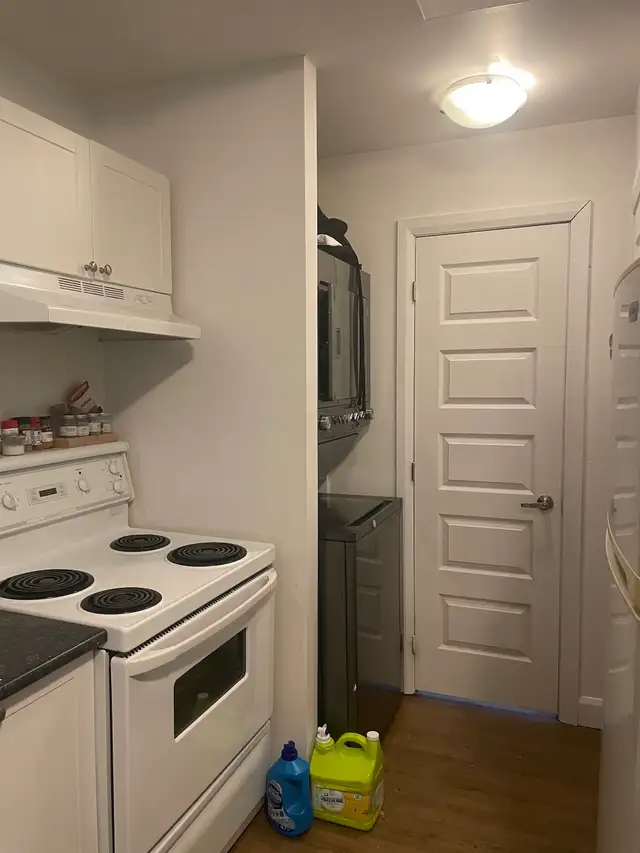 Très beau 3 1/2, St-Sauveur rue Boisseau, Juillet