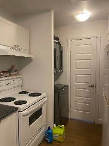 Très beau 3 1/2, St-Sauveur rue Boisseau, Juillet