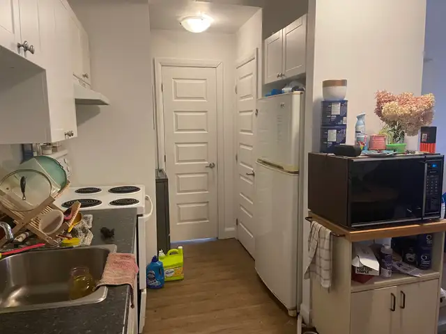 Très beau 3 1/2, St-Sauveur rue Boisseau, Juillet - Photo 2