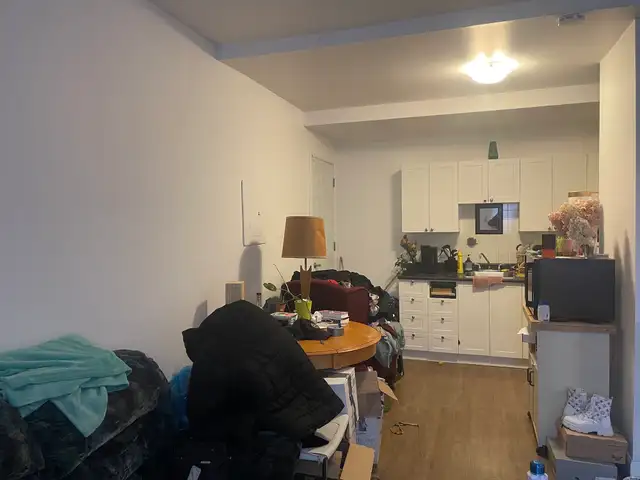 Très beau 3 1/2, St-Sauveur rue Boisseau, Juillet - Photo 3