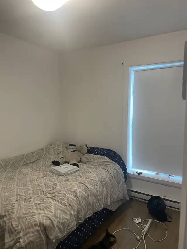 Très beau 3 1/2, St-Sauveur rue Boisseau, Juillet - Photo 6