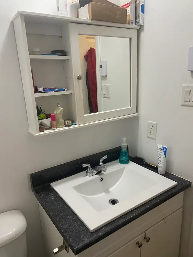 Très beau 3 1/2, St-Sauveur rue Boisseau, Juillet - Photo 8