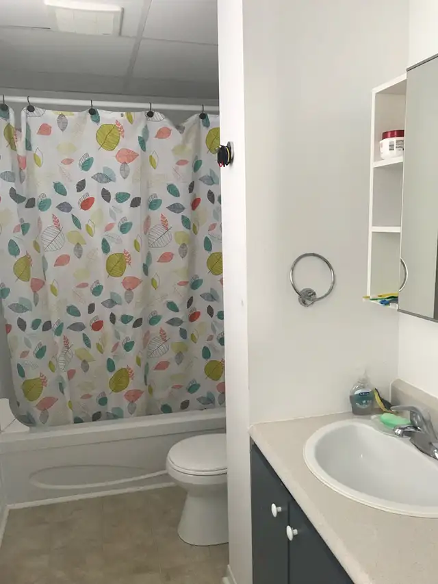 Très beau 4 1/2, rue Jean-Noël Ste-Foy JUILLET - Photo 9