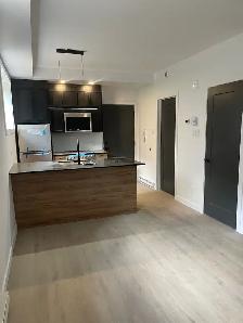 superbe loft 1 1/2, tout-inclus, semi-meublé, juillet - Photo 3