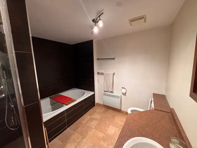 Superbe très grand 4 1/2, St-Sauveur, Juillet Terrasse - Photo 22