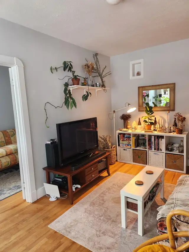 Beau grand 4 1/2, Ste-Foy 1er étage LIBRE Frais peint ! - Photo 3