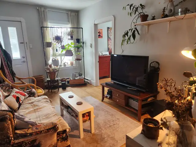 Beau grand 4 1/2, Ste-Foy 1er étage LIBRE Frais peint ! - Photo 4