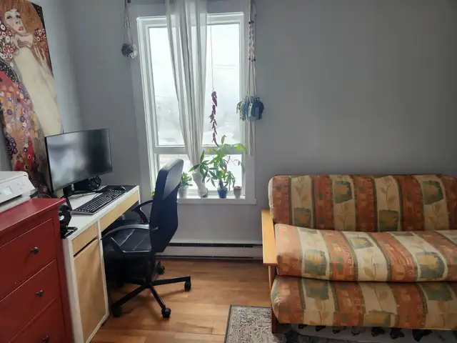 Beau grand 4 1/2, Ste-Foy 1er étage LIBRE Frais peint ! - Photo 5