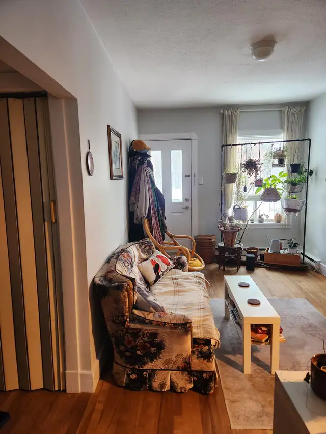 Beau grand 4 1/2, Ste-Foy 1er étage LIBRE Frais peint ! - Photo 7