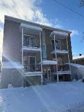 Très beau 1 1/2, Ave. Maufils, WIFI Juillet