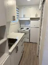 Très beau 1 1/2, Ave. Maufils, WIFI Juillet - Photo 3