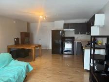 Superbe beau grand 4 1/2, secteur St-Émile, juillet - Photo 3